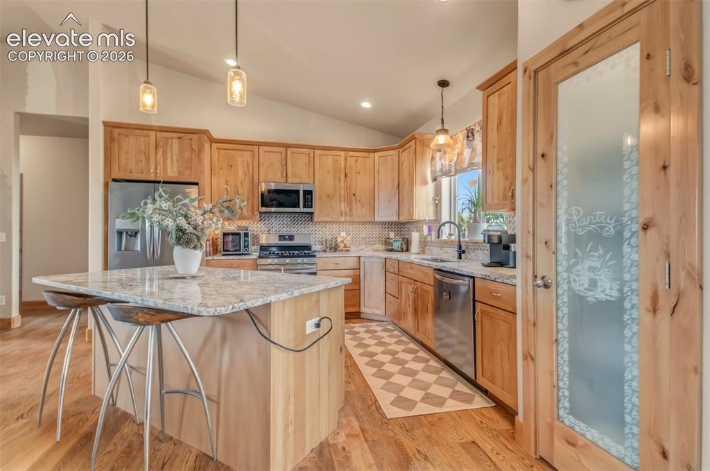 378 High Pasture Road Florissant CO 80816