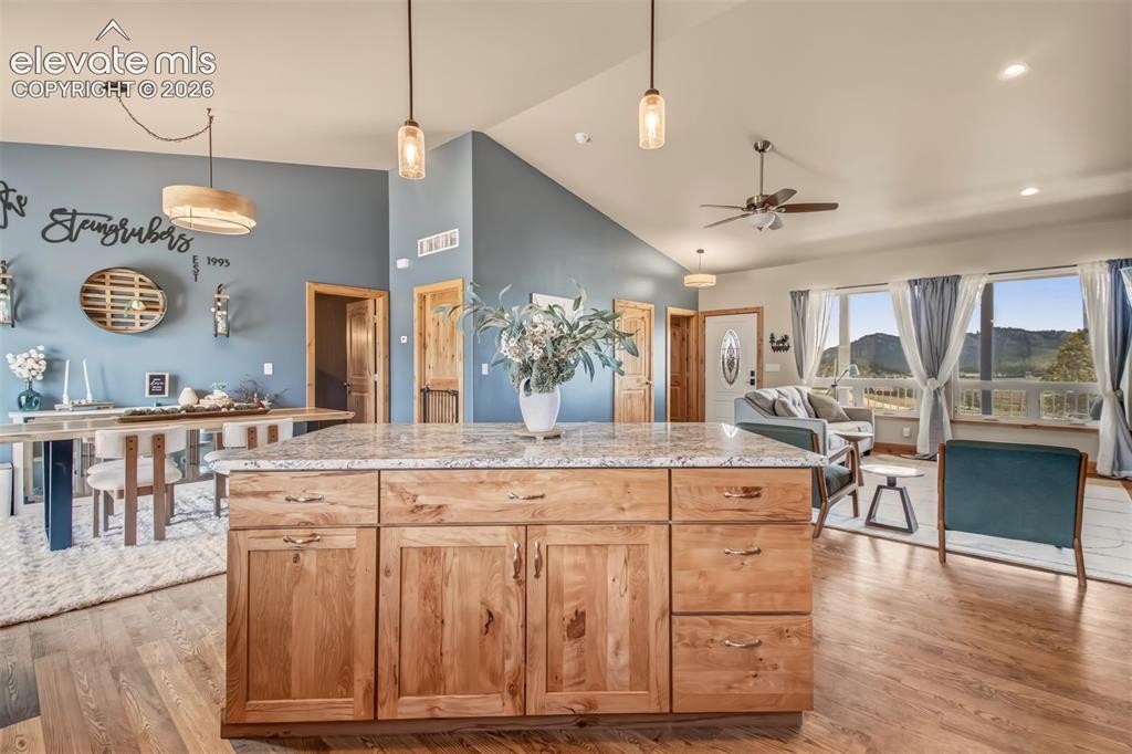 378 High Pasture Road Florissant CO 80816