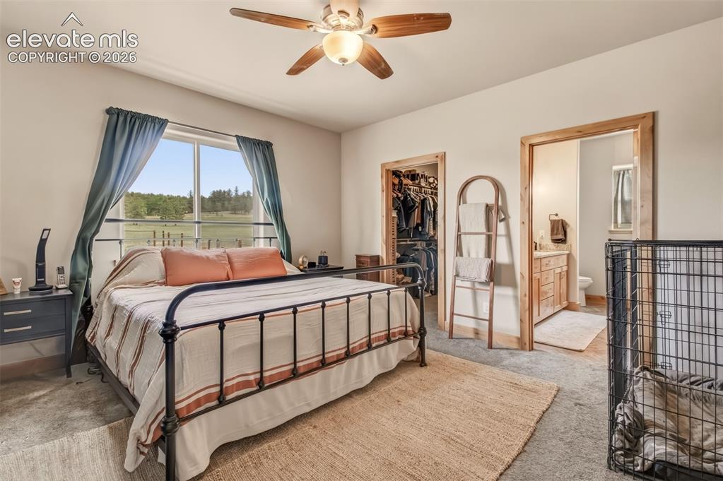 378 High Pasture Road Florissant CO 80816