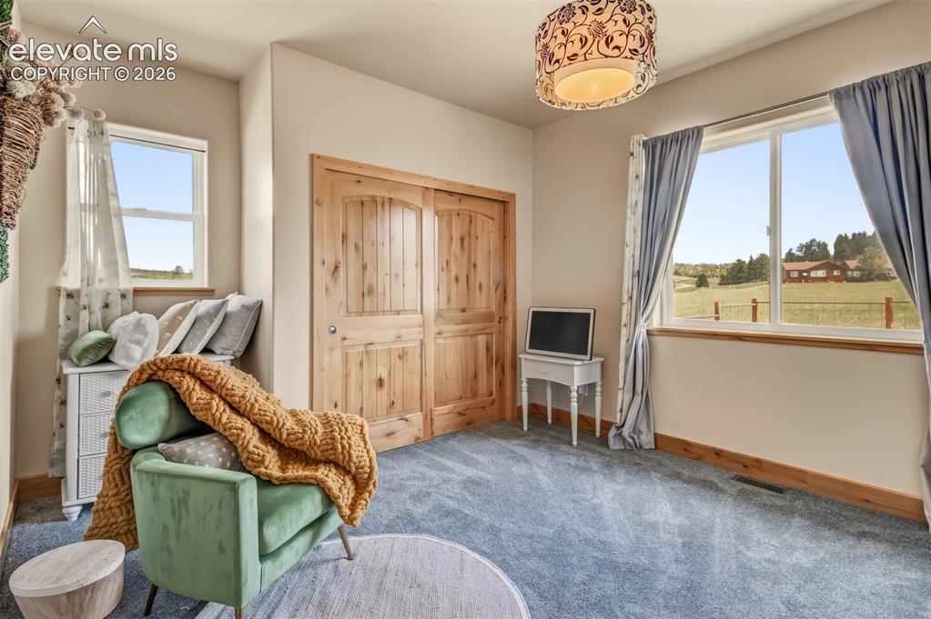 378 High Pasture Road Florissant CO 80816