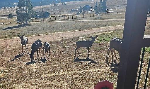 378 High Pasture Road Florissant CO 80816