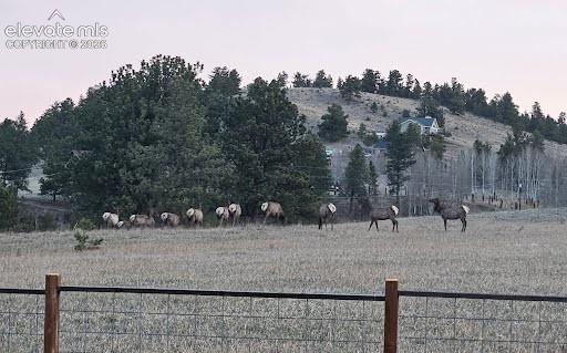 378 High Pasture Road Florissant CO 80816
