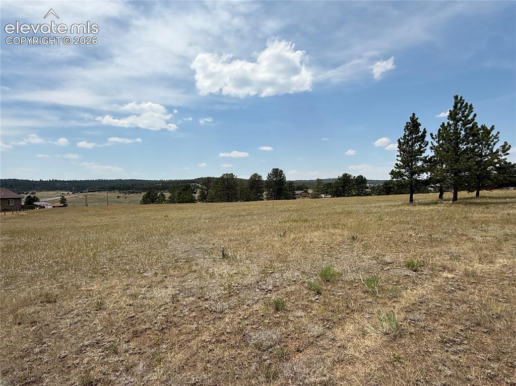 378 High Pasture Road Florissant CO 80816