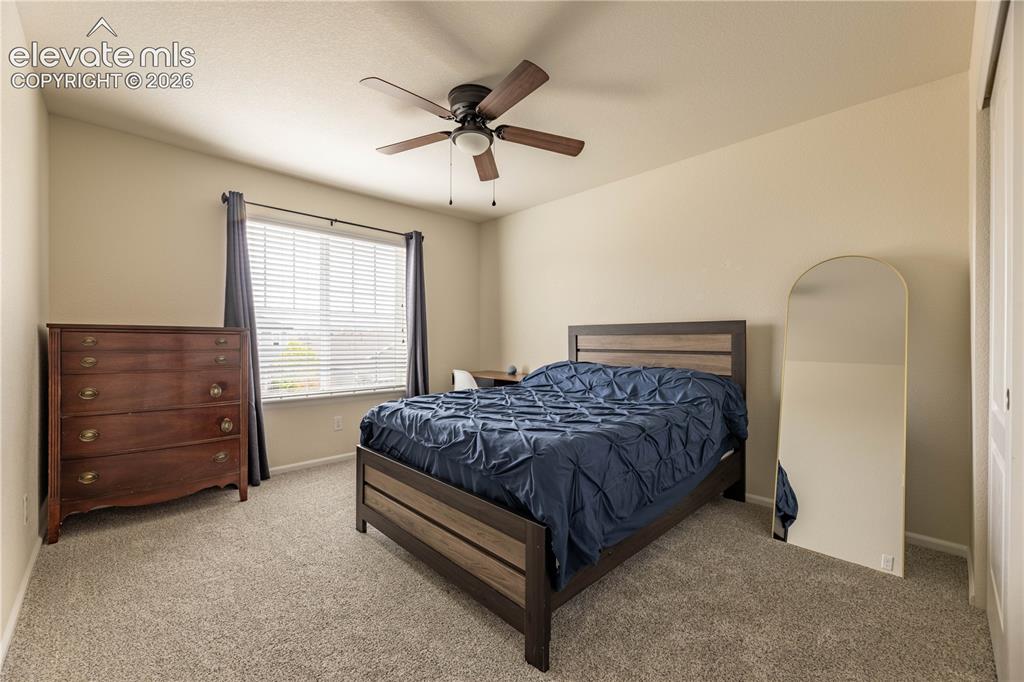 1368 Castle Creek Circle Castle Rock CO 80104
