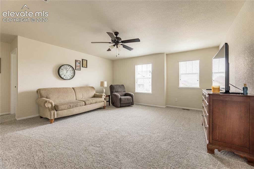 1368 Castle Creek Circle Castle Rock CO 80104
