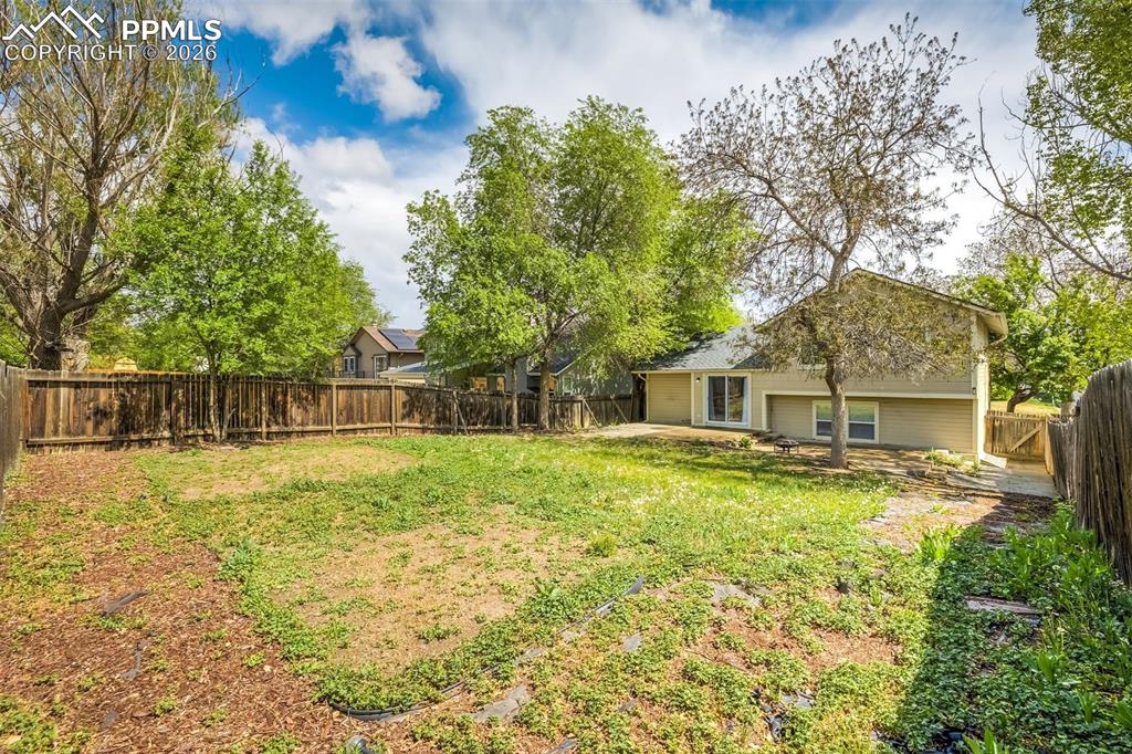 4334 Allesandro Drive Colorado Springs CO 80916