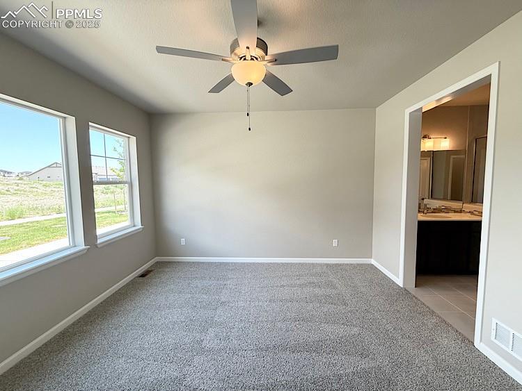 9463 Jollity Point Colorado Springs CO 80924