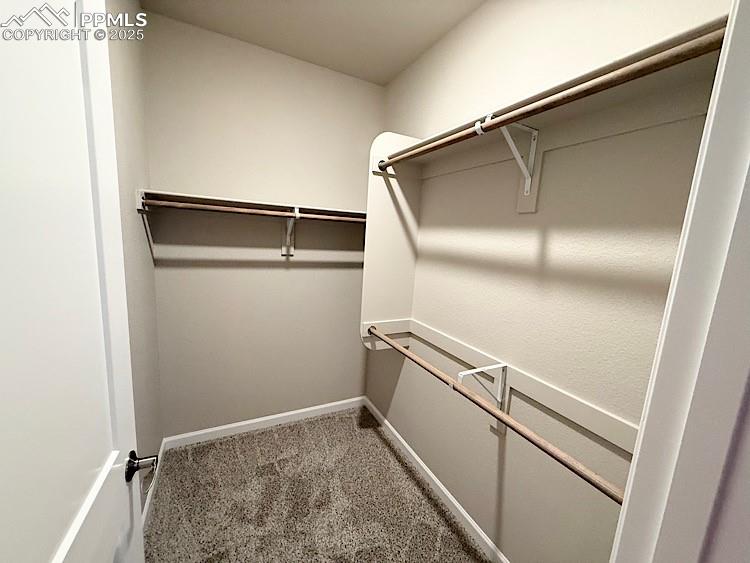 9463 Jollity Point Colorado Springs CO 80924