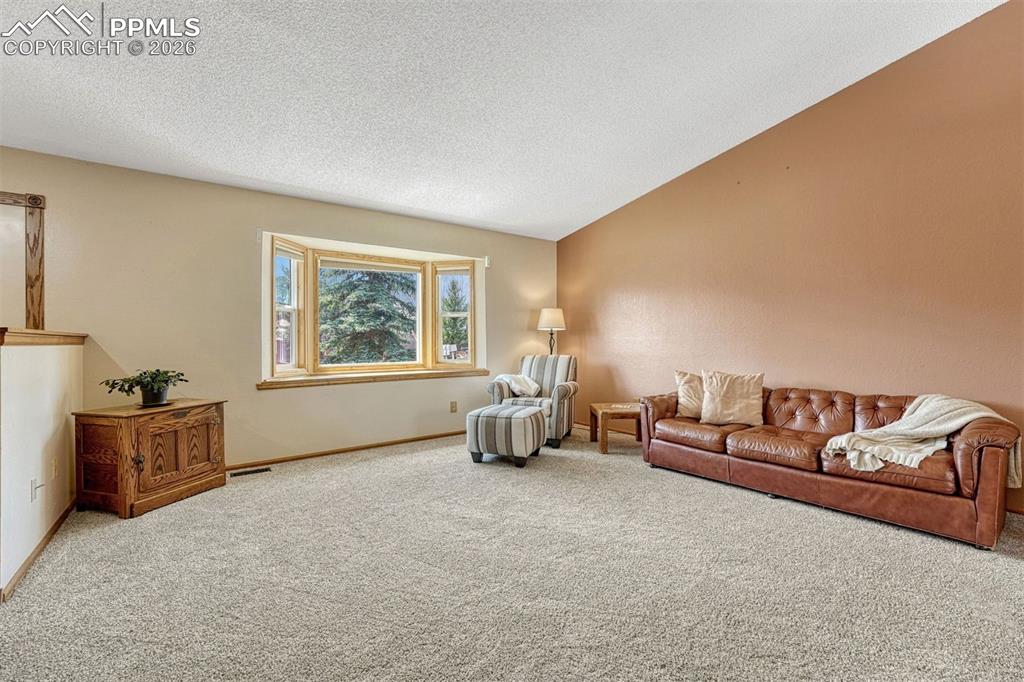 1300 Thomas Circle Woodland Park CO 80863