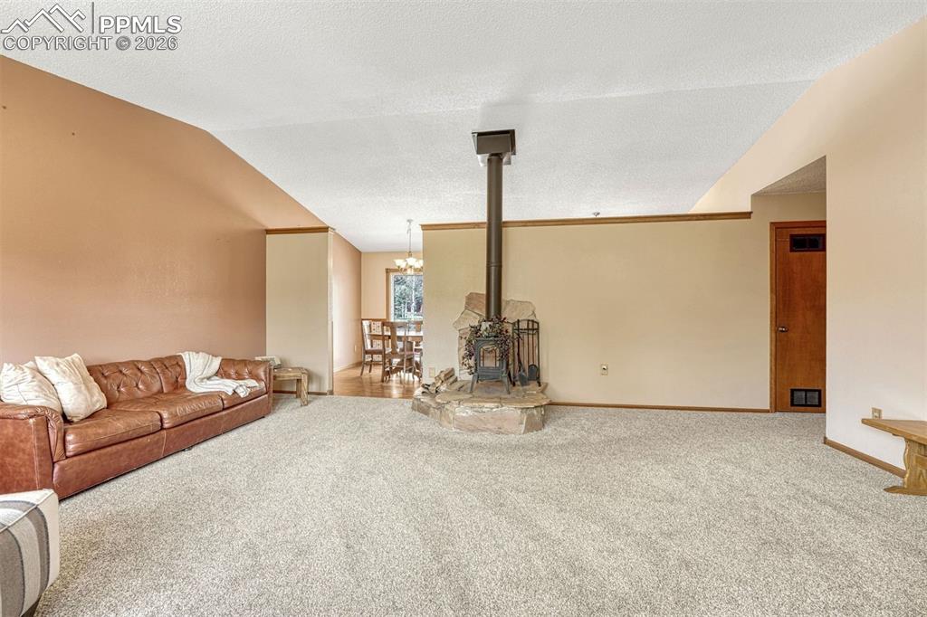 1300 Thomas Circle Woodland Park CO 80863