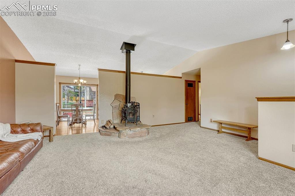 1300 Thomas Circle Woodland Park CO 80863