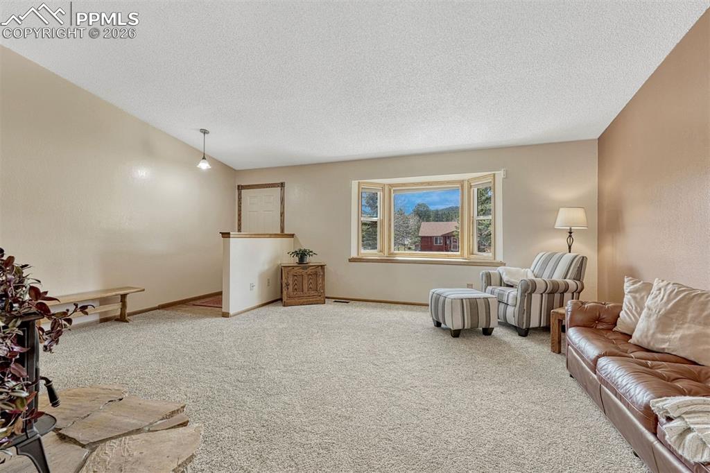 1300 Thomas Circle Woodland Park CO 80863