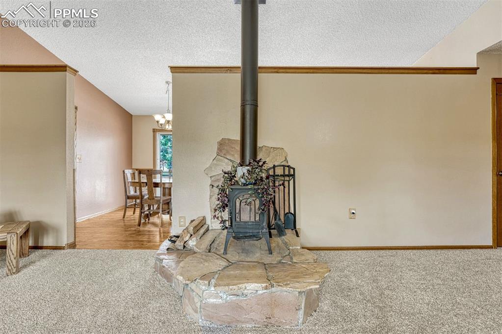 1300 Thomas Circle Woodland Park CO 80863