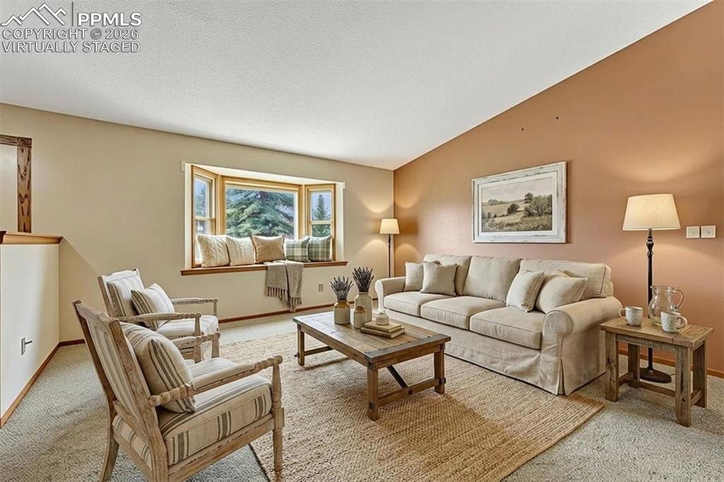 1300 Thomas Circle Woodland Park CO 80863