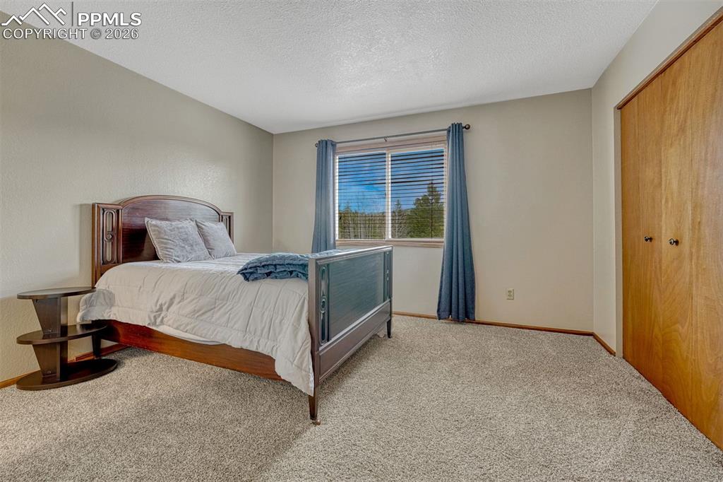 1300 Thomas Circle Woodland Park CO 80863