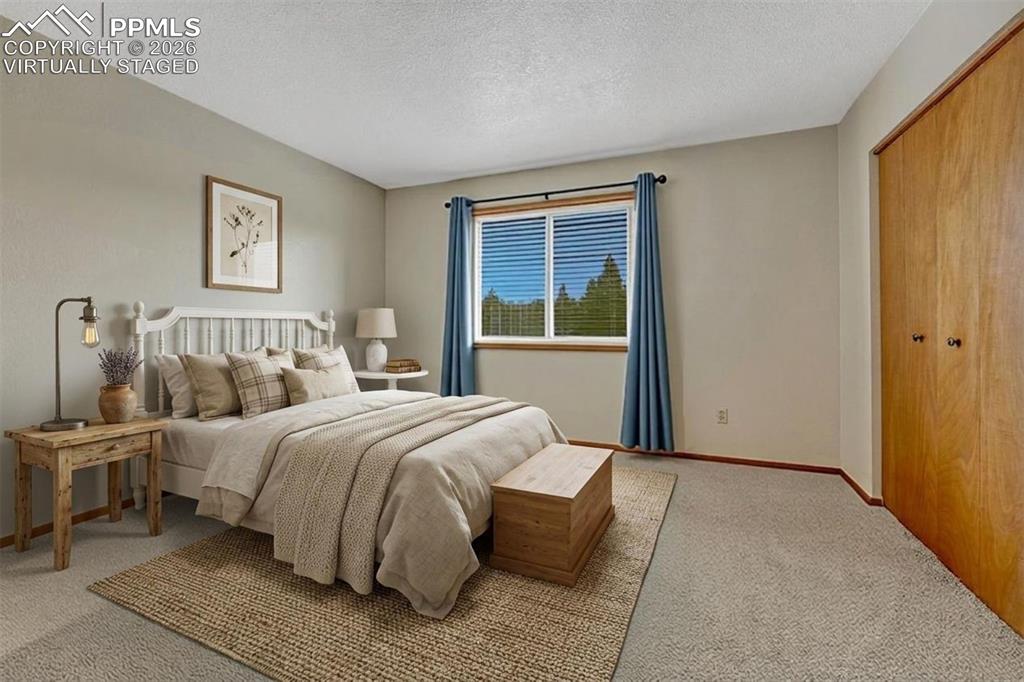 1300 Thomas Circle Woodland Park CO 80863