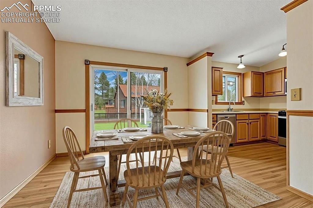 1300 Thomas Circle Woodland Park CO 80863
