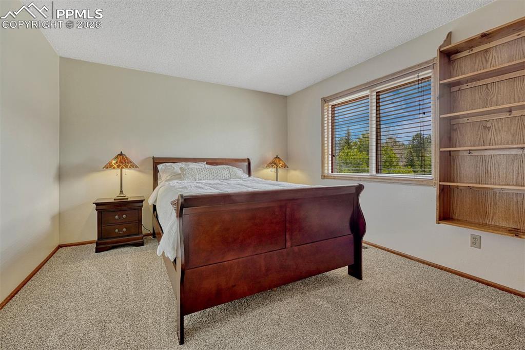 1300 Thomas Circle Woodland Park CO 80863