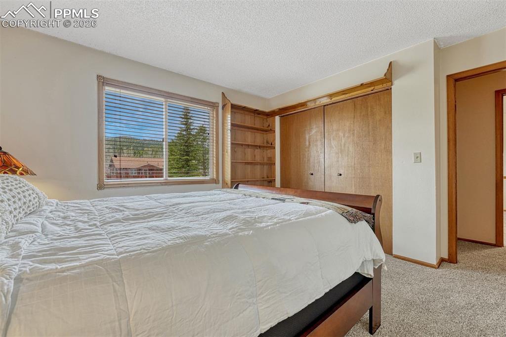 1300 Thomas Circle Woodland Park CO 80863