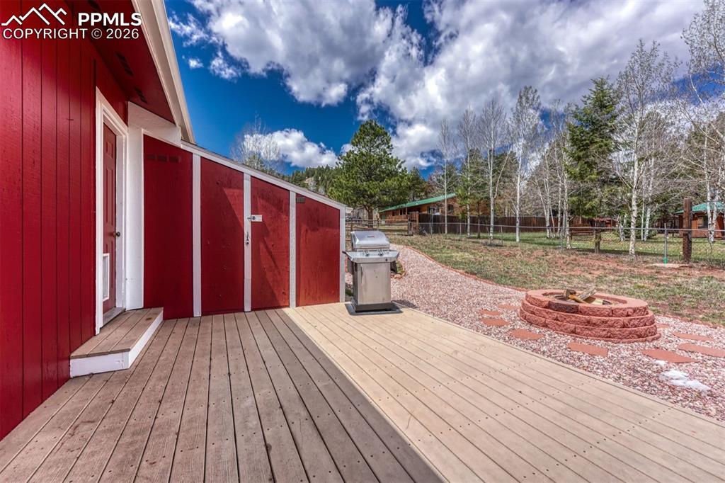 1300 Thomas Circle Woodland Park CO 80863