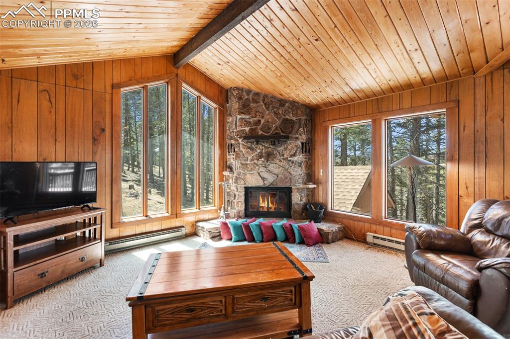 351 Porphry Road Divide CO 80814