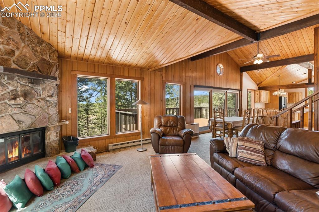 351 Porphry Road Divide CO 80814