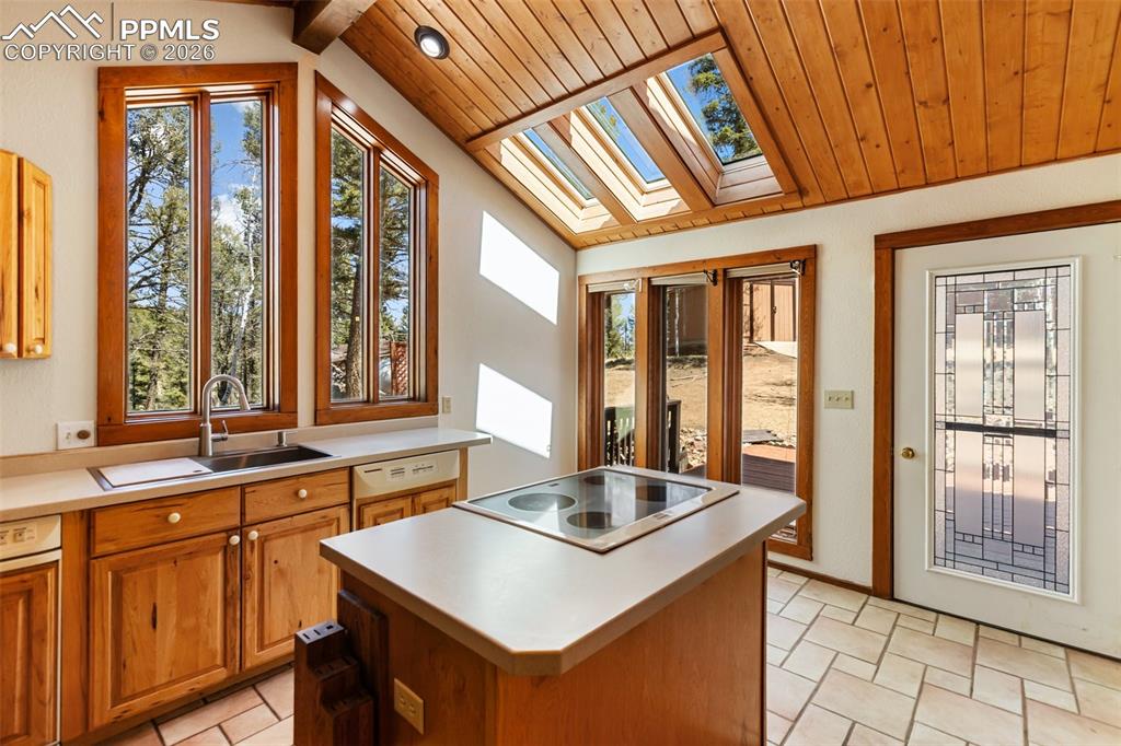 351 Porphry Road Divide CO 80814