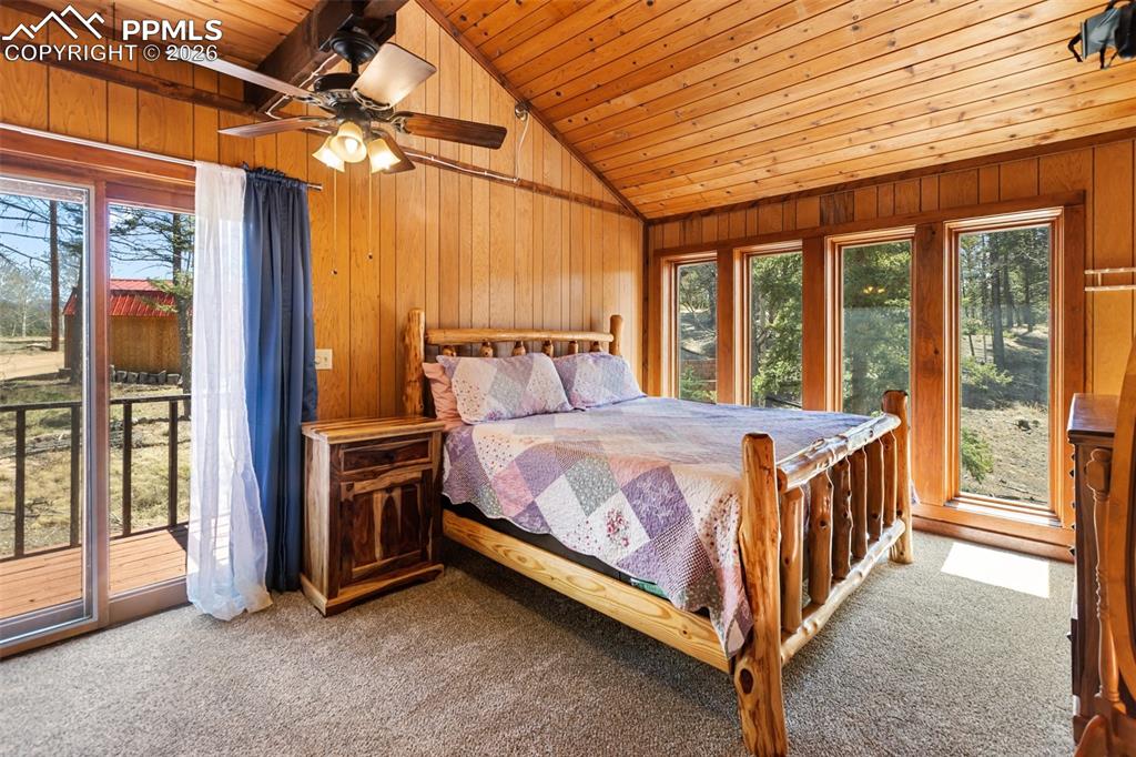 351 Porphry Road Divide CO 80814