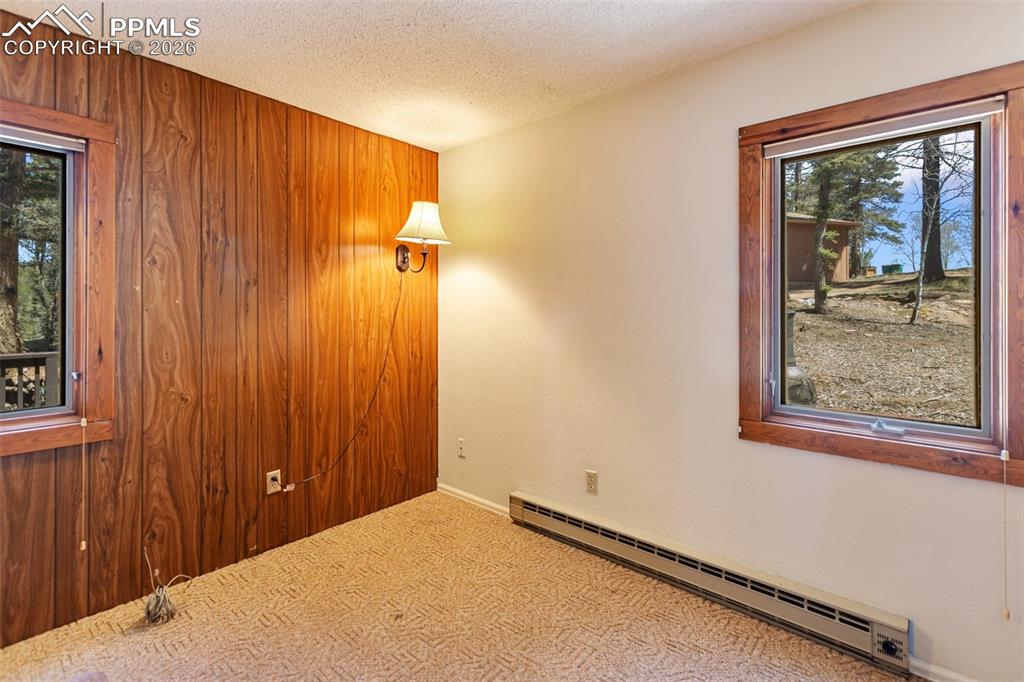 351 Porphry Road Divide CO 80814