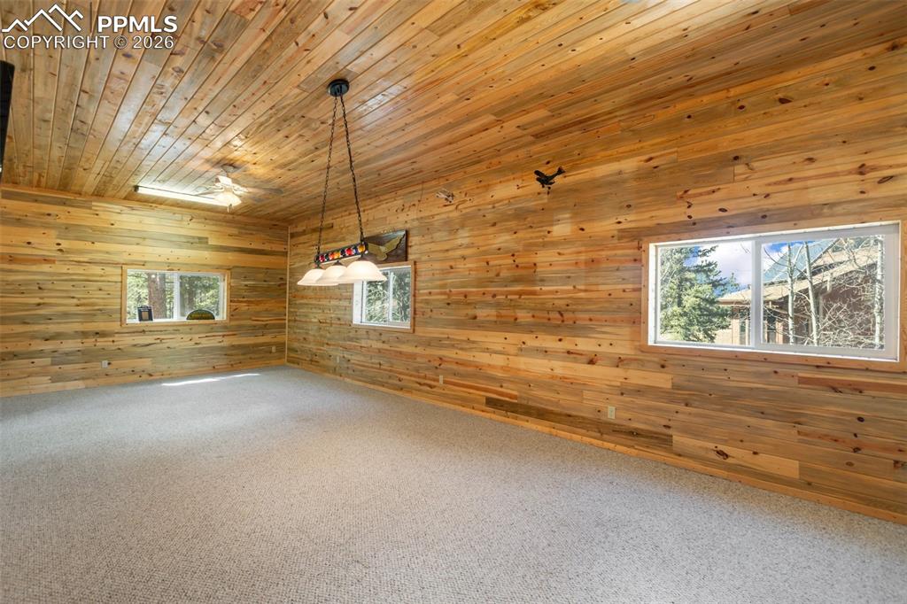 351 Porphry Road Divide CO 80814