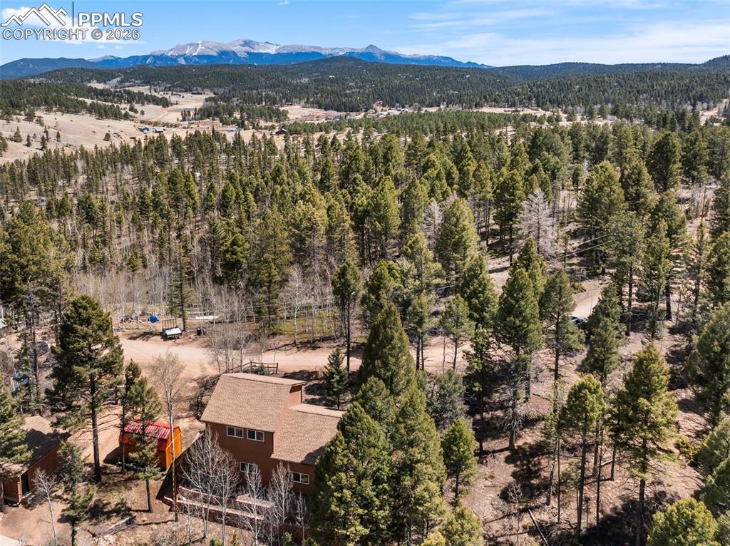 351 Porphry Road Divide CO 80814