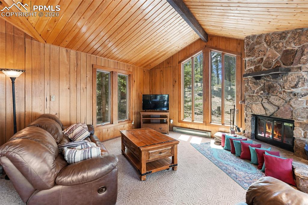 351 Porphry Road Divide CO 80814
