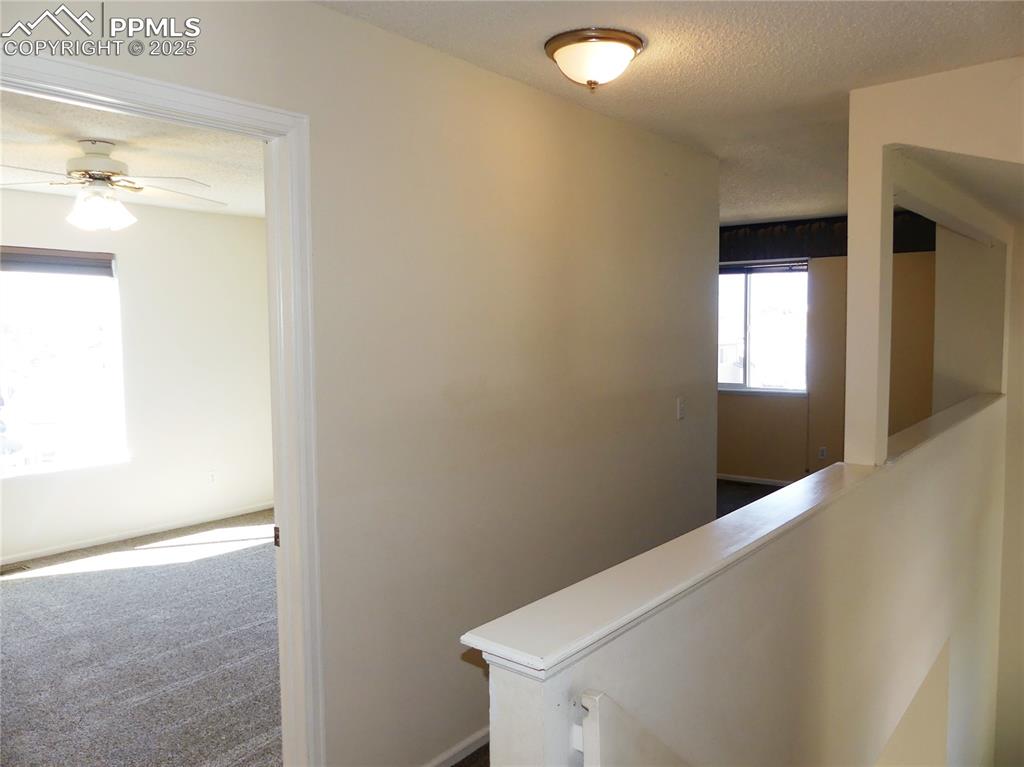 4315 Basswood Drive Colorado Springs CO 80920