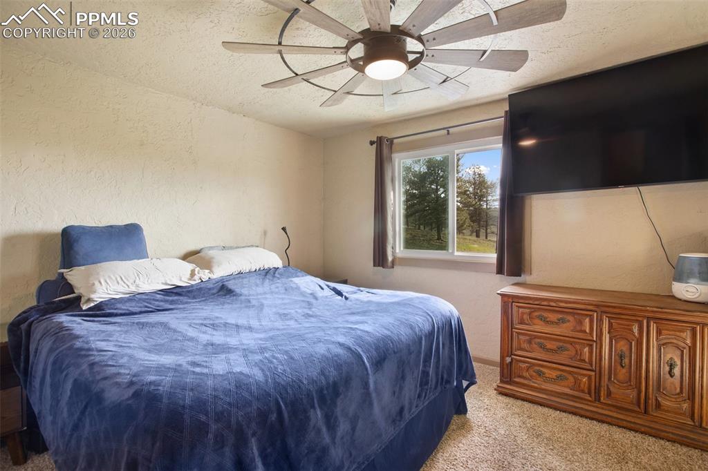 13599 County Road 1 Florissant CO 80816