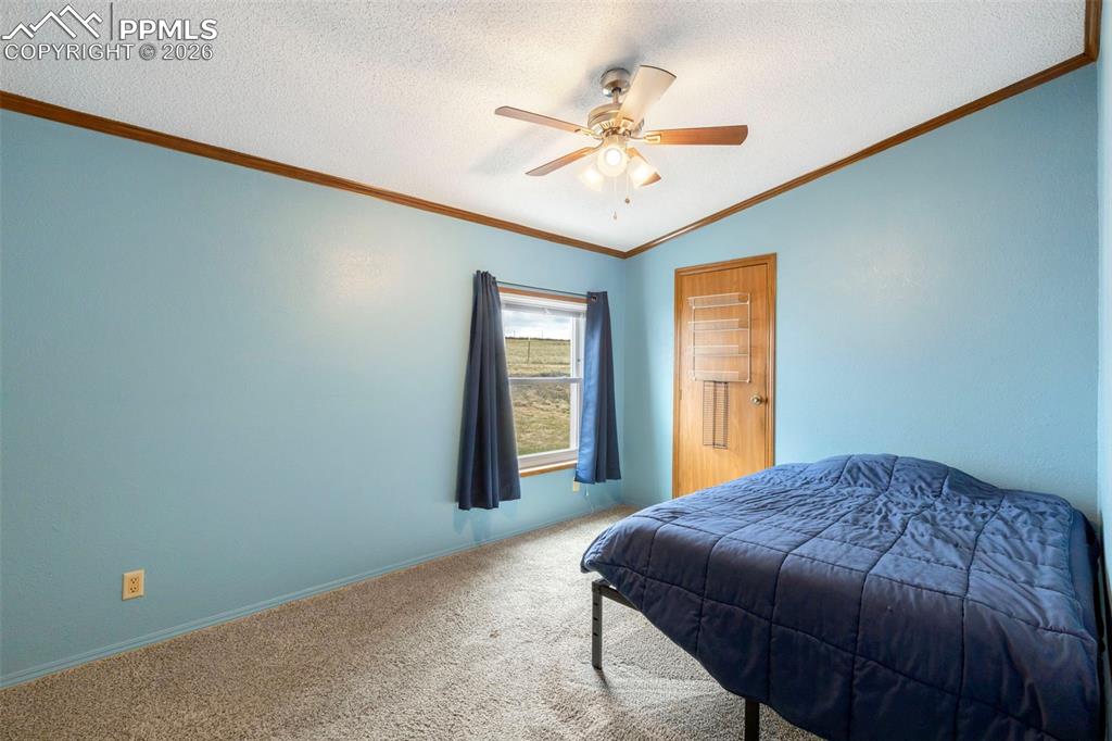 13335 Gymkhana Road Peyton CO 80831
