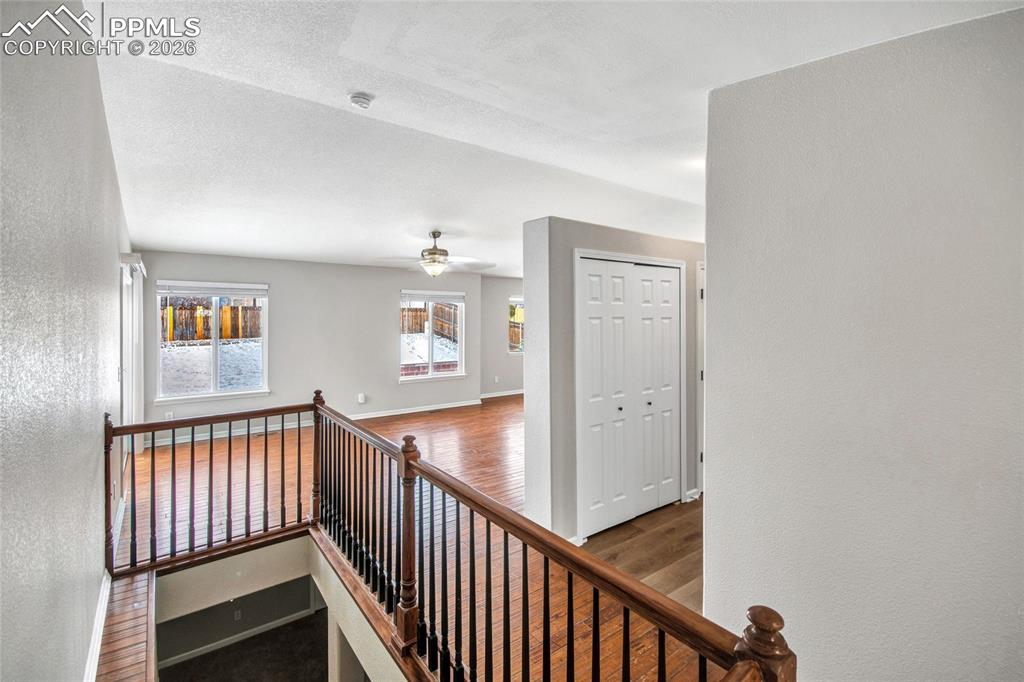 8258 Firethorn Drive Colorado Springs CO 80925