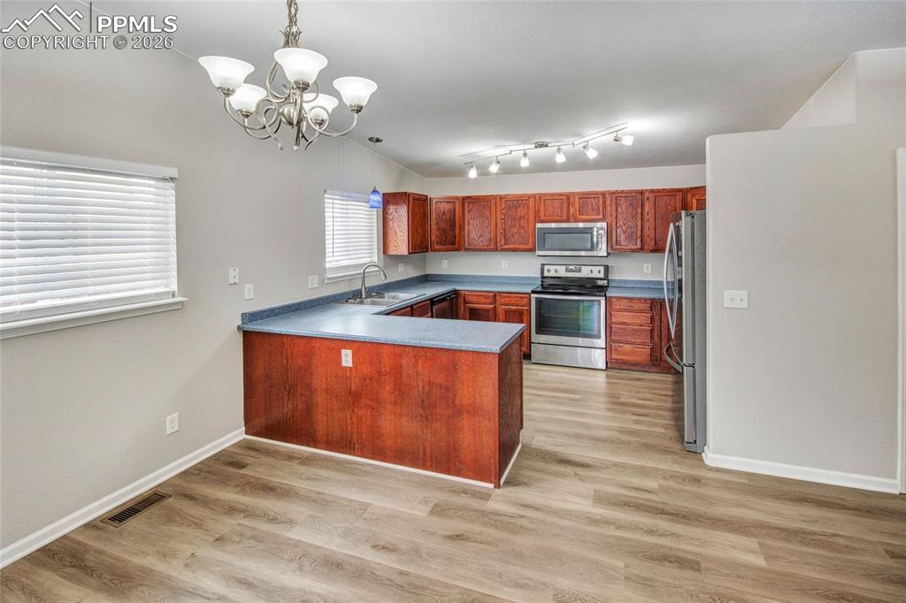 8258 Firethorn Drive Colorado Springs CO 80925