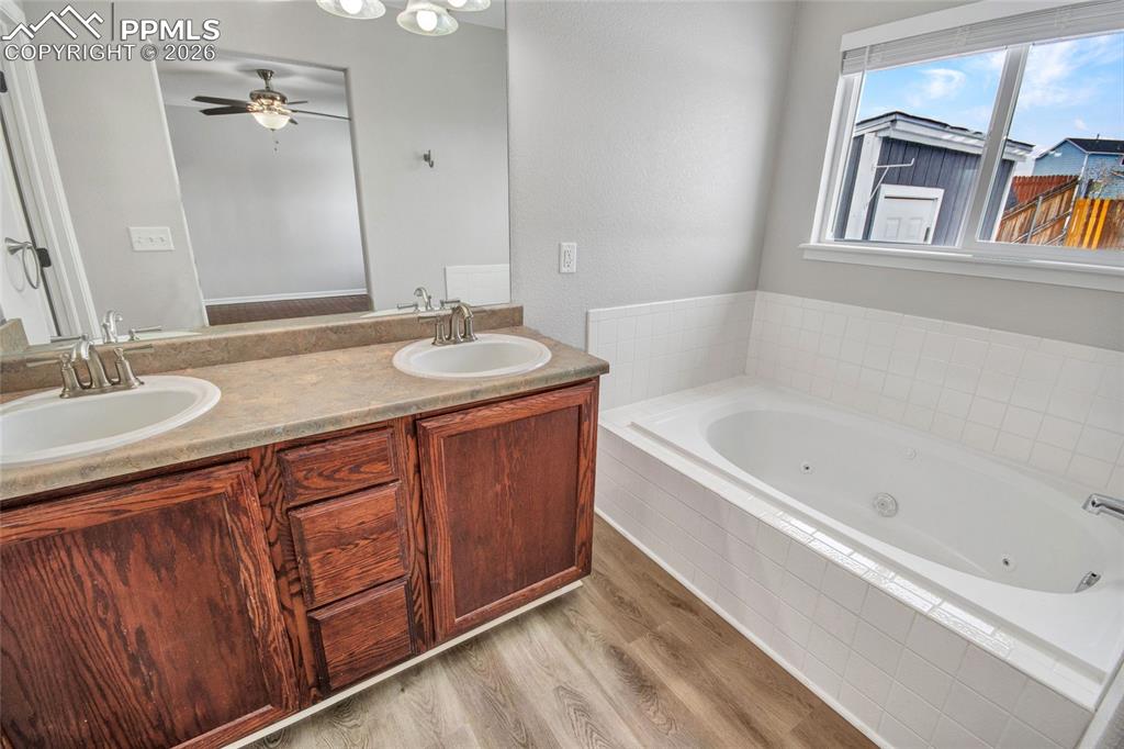 8258 Firethorn Drive Colorado Springs CO 80925