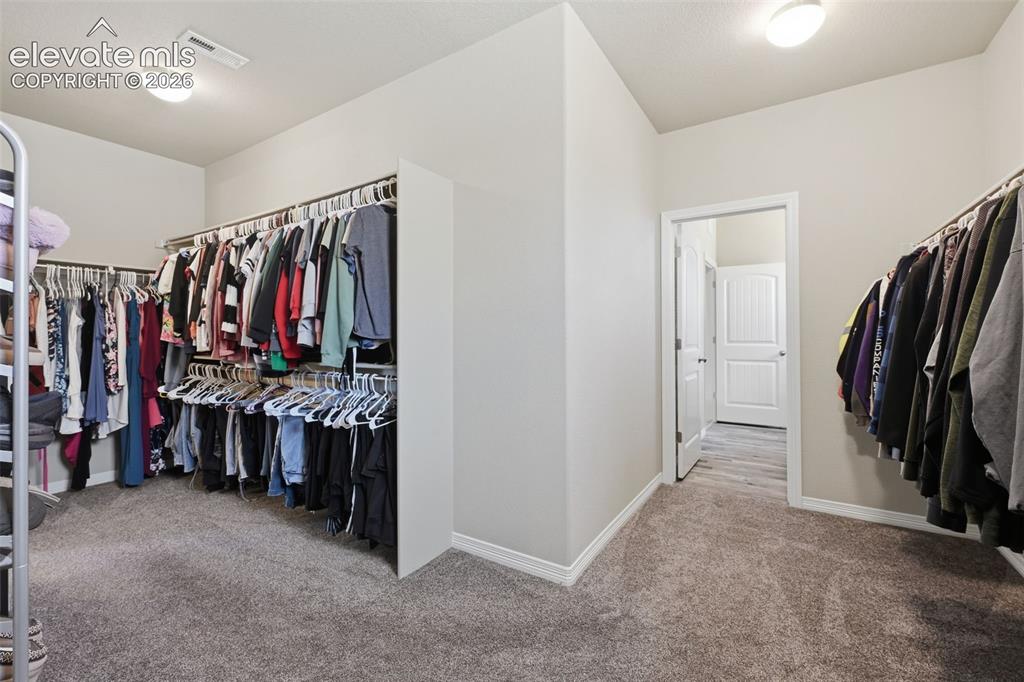 12810 Windingwalk Drive Peyton CO 80831