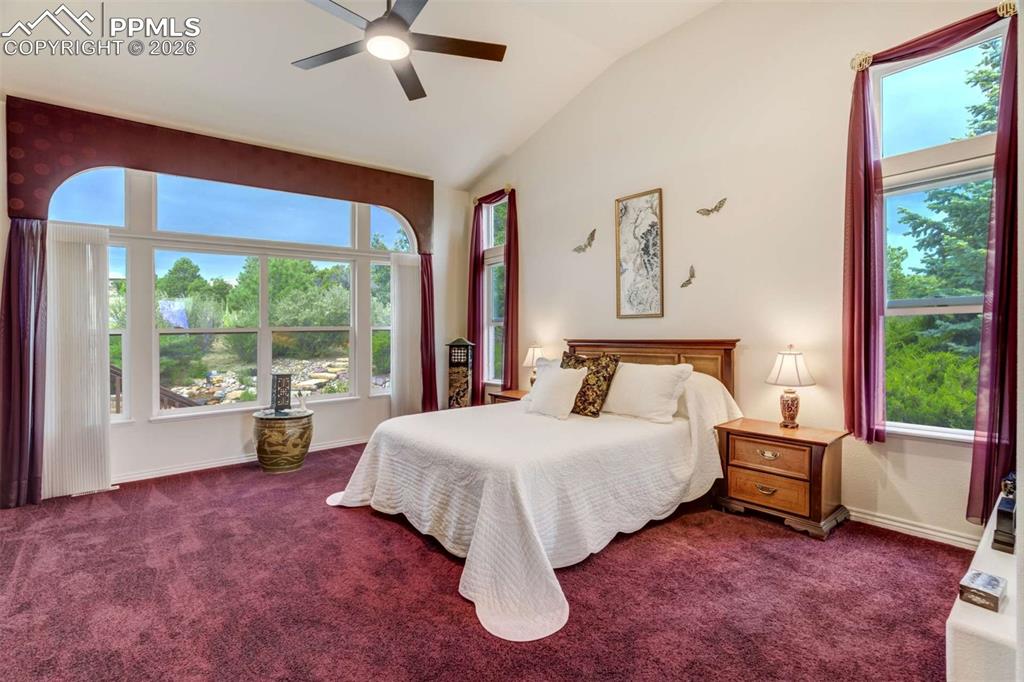 4618 Bethany Court Colorado Springs CO 80918