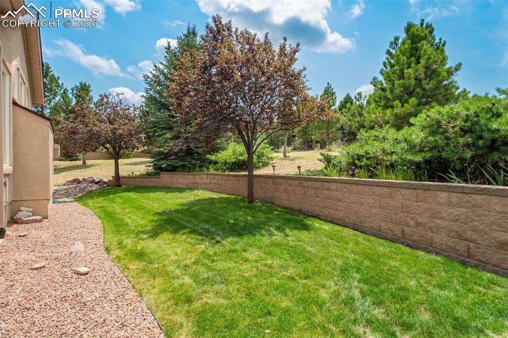 4618 Bethany Court Colorado Springs CO 80918