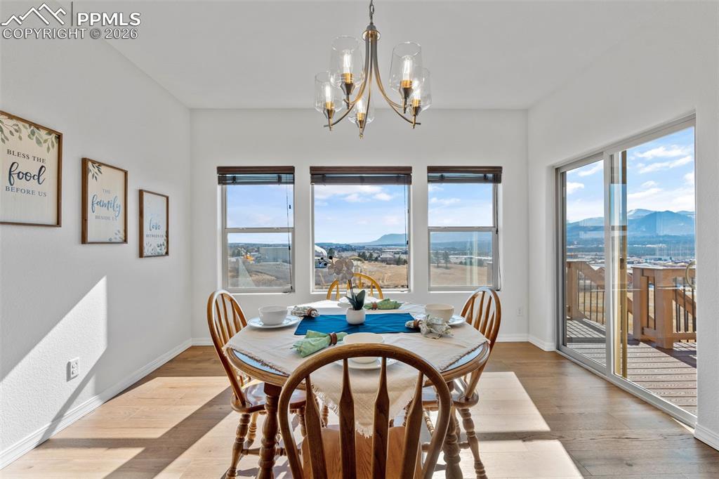 178 Coyote Willow Drive Colorado Springs CO 80921