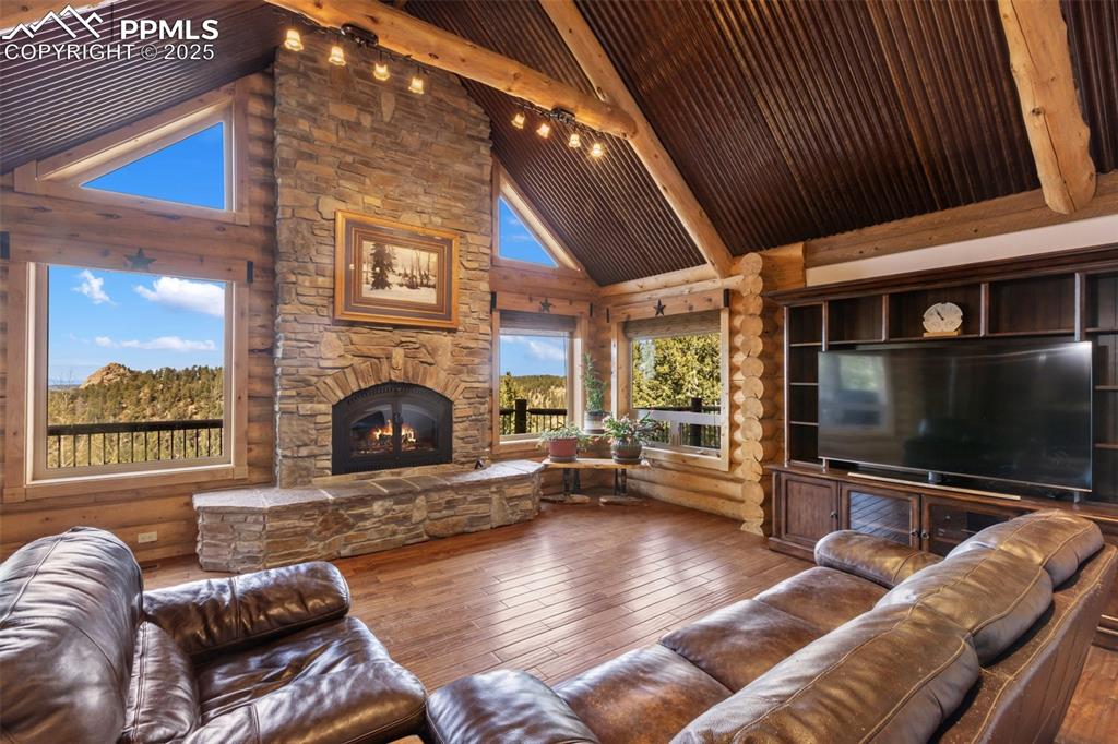111 Blue Spruce Road Divide CO 80814