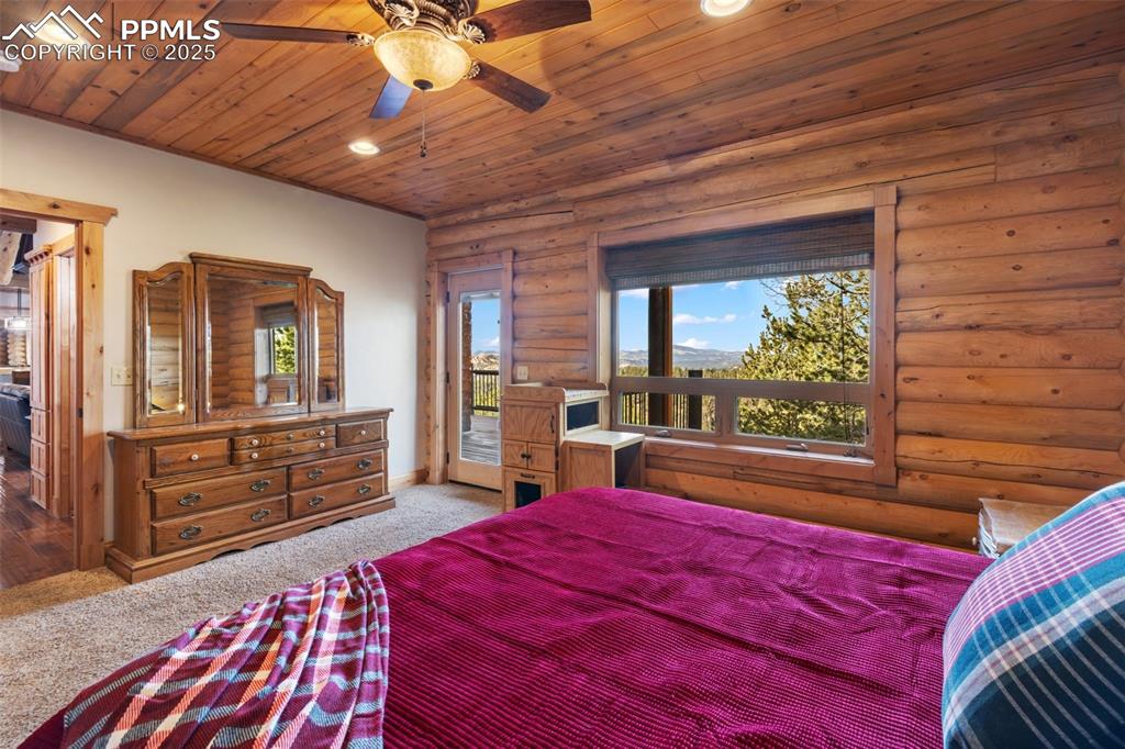 111 Blue Spruce Road Divide CO 80814