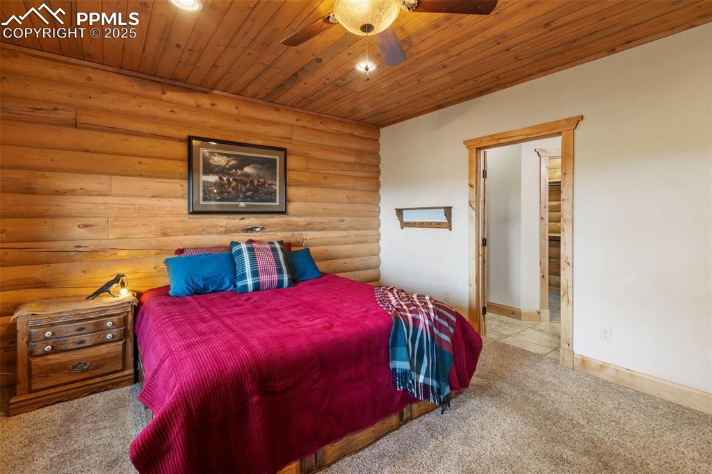111 Blue Spruce Road Divide CO 80814