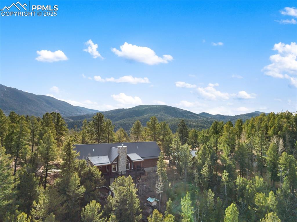 111 Blue Spruce Road Divide CO 80814