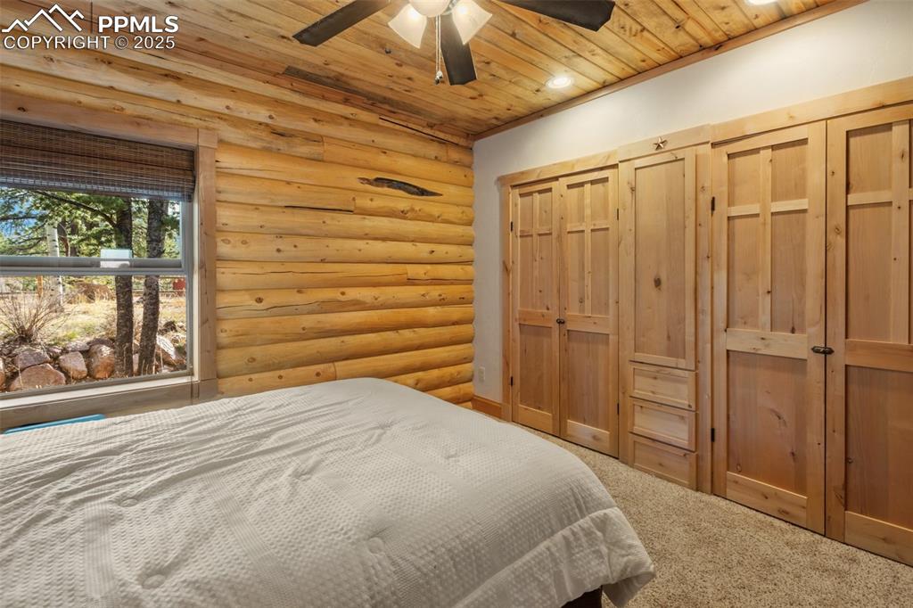 111 Blue Spruce Road Divide CO 80814