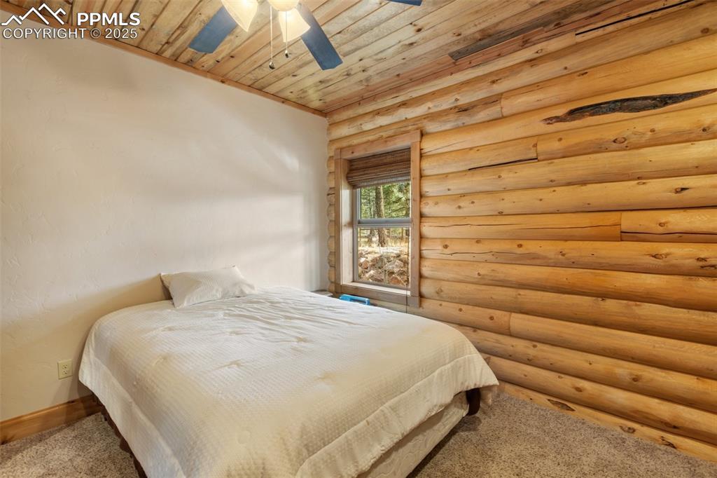 111 Blue Spruce Road Divide CO 80814