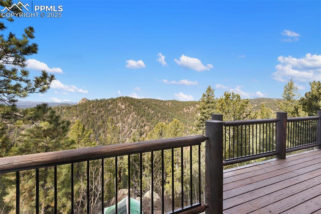 111 Blue Spruce Road Divide CO 80814