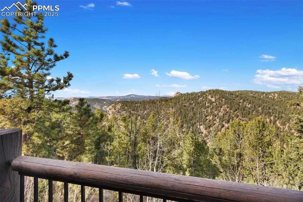 111 Blue Spruce Road Divide CO 80814